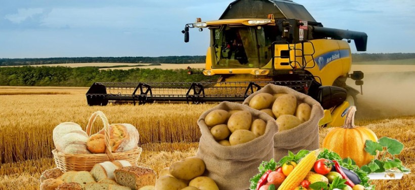 ارتفع الإنتاج الزراعي في طاجيكستان بنسبة 5٪ في 7 أشهر