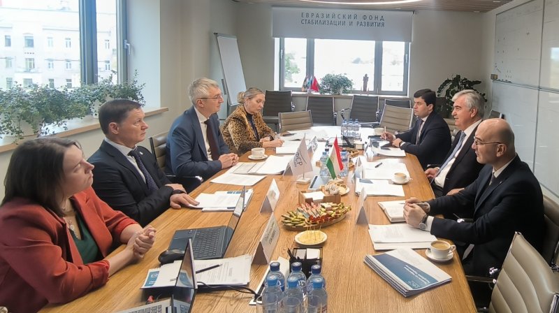 اتفقت طاجيكستان والصندوق الأوروبي للتنمية المستدامة على توسيع التعاون في المجالات ذات الأولوية