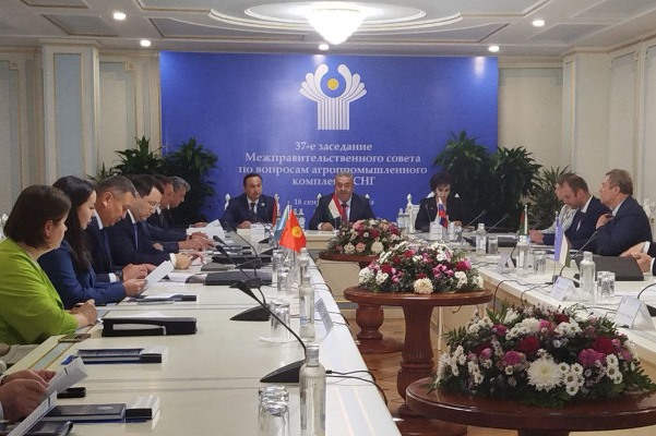 وزير الزراعة في طاجيكستان يرأس مجلس رابطة الدول المستقلة للمجمع الزراعي الصناعي