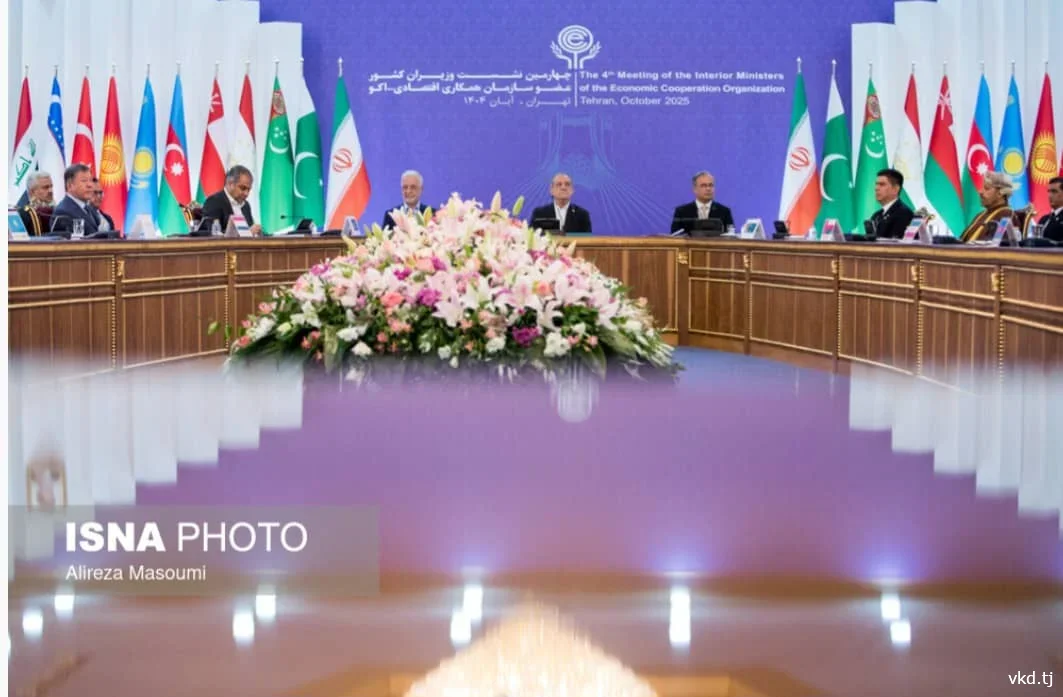 وزير الداخلية الطاجيكي يلقي كلمة في اجتماع منظمة التعاون الاقتصادي في طهران