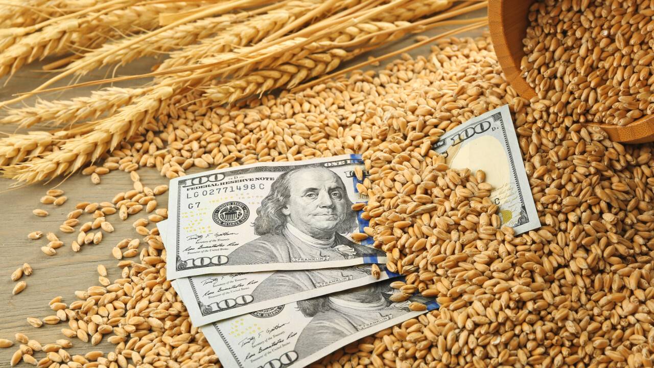 انخفضت أسعار المواد الغذائية العالمية في أكتوبر، مع توقع حصاد قياسي للحبوب في عام 2025.