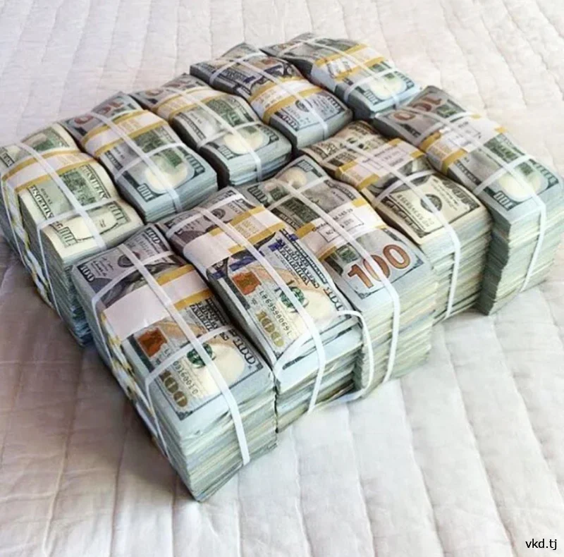يواجه رئيس شركة إنشاءات في دوشانبي اتهامات بالاحتيال بمبلغ يصل إلى 600 ألف دولار.