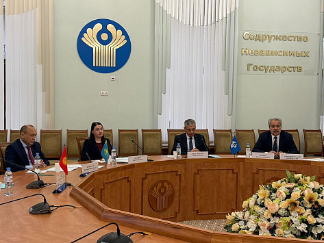 ناقش خبراء رابطة الدول المستقلة التعاون في مجال الغابات وصناعة الأخشاب.