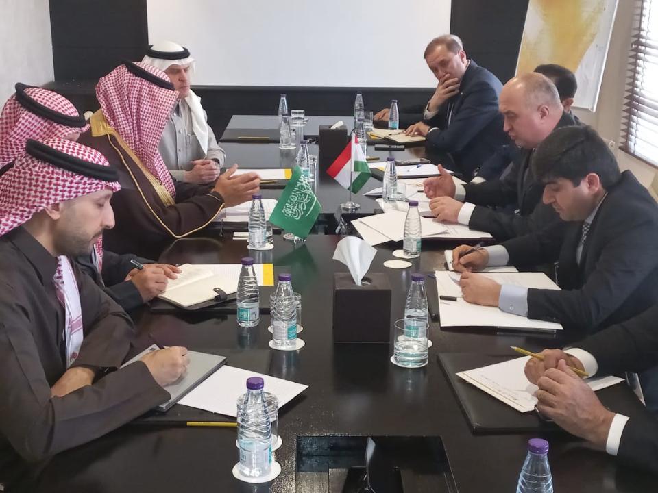 ناقشت طاجيكستان والمملكة العربية السعودية توسيع التعاون الاستثماري بينهما