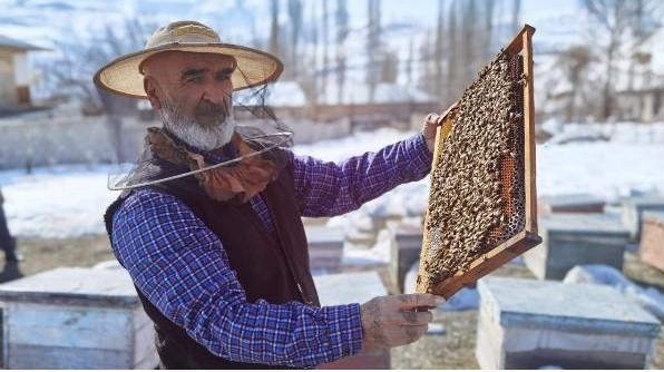 تم إنتاج 96 طنًا من العسل في منطقة غورنو-باداخشان ذاتية الحكم في عام 2025