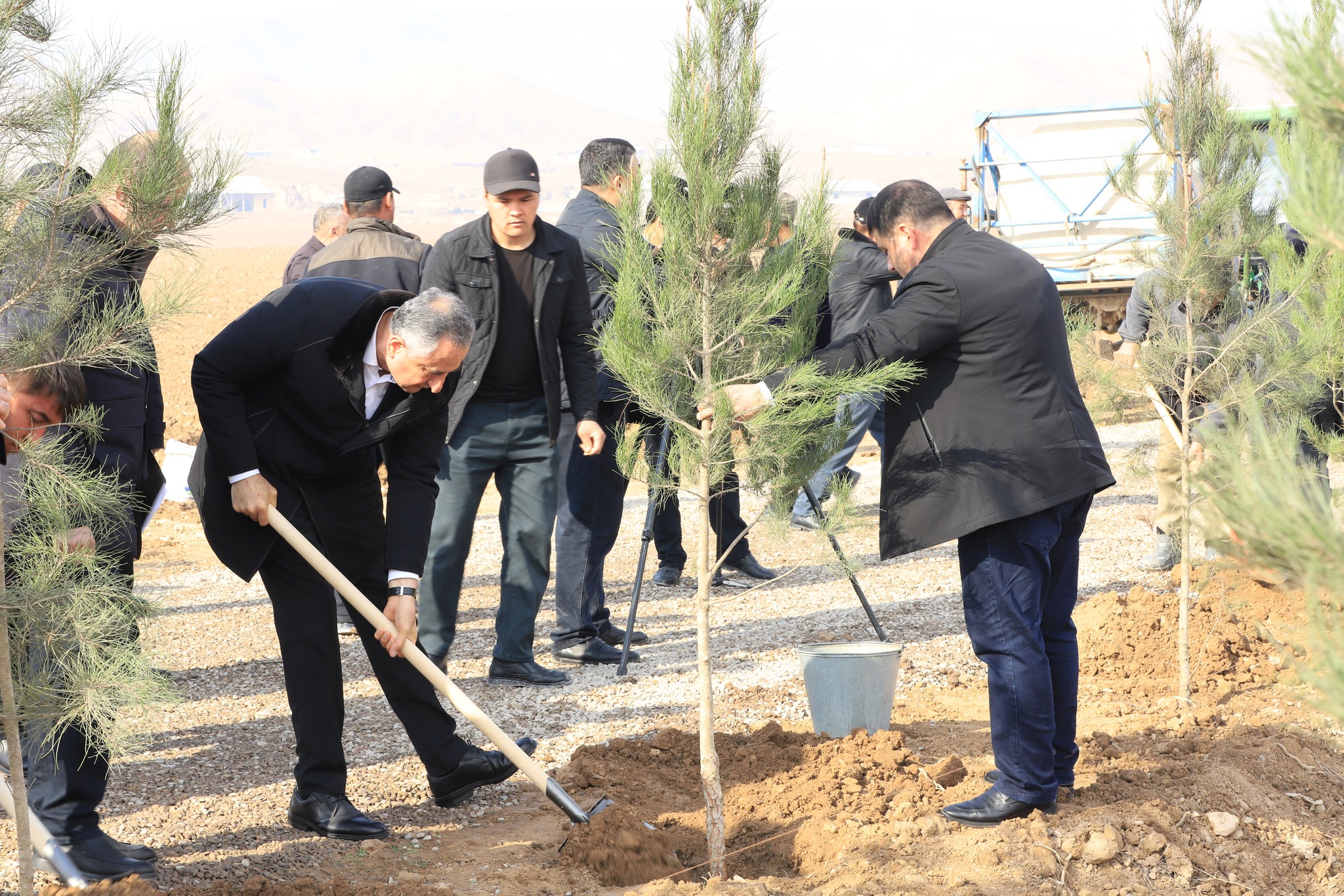 شارك رئيس منطقة ختلون في حملة تشجير في مقاطعة داستي.