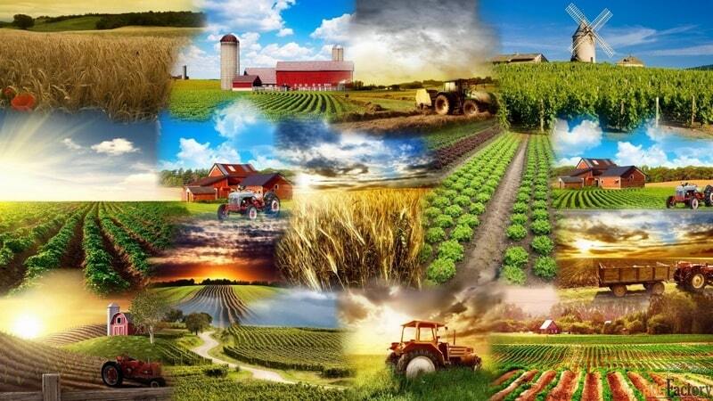 أصدرت الصين "الوثيقة رقم 1" لعام 2026 بشأن التحديث الزراعي وتنشيط الريف.
