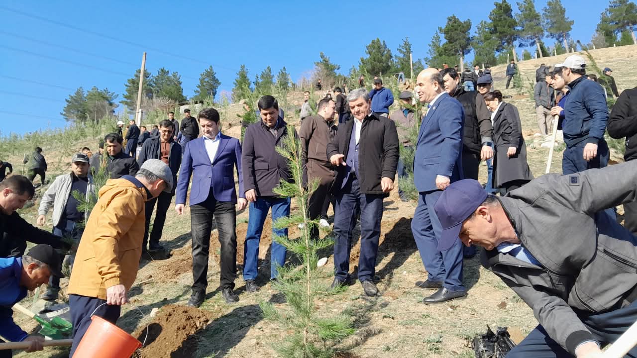 تم غرس أكثر من 1500 شجرة في منطقة فارزوب.