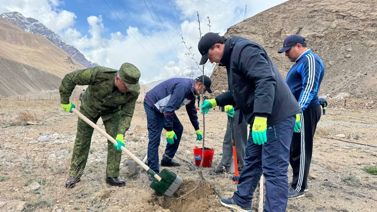 أُقيمت حملة تشجير في منطقة شوغنانسكي: حيث تم غرس 300 شجرة.