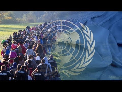 الأمم المتحدة: وصل عدد النازحين داخلياً في جميع أنحاء العالم إلى 118 مليون شخص.