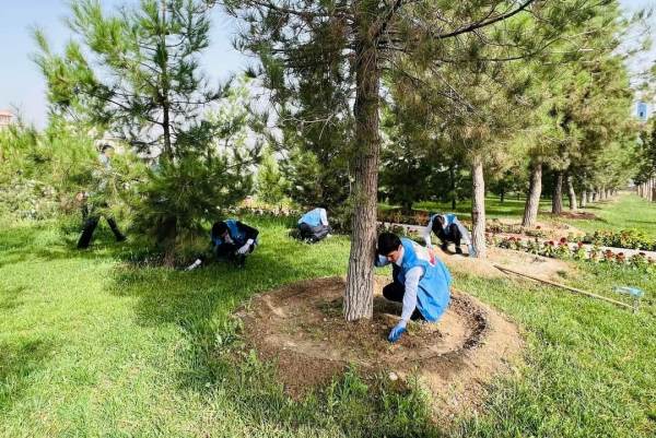 نظم متطوعون بيئيون عشرات فعاليات التنظيف في دوشانبي.