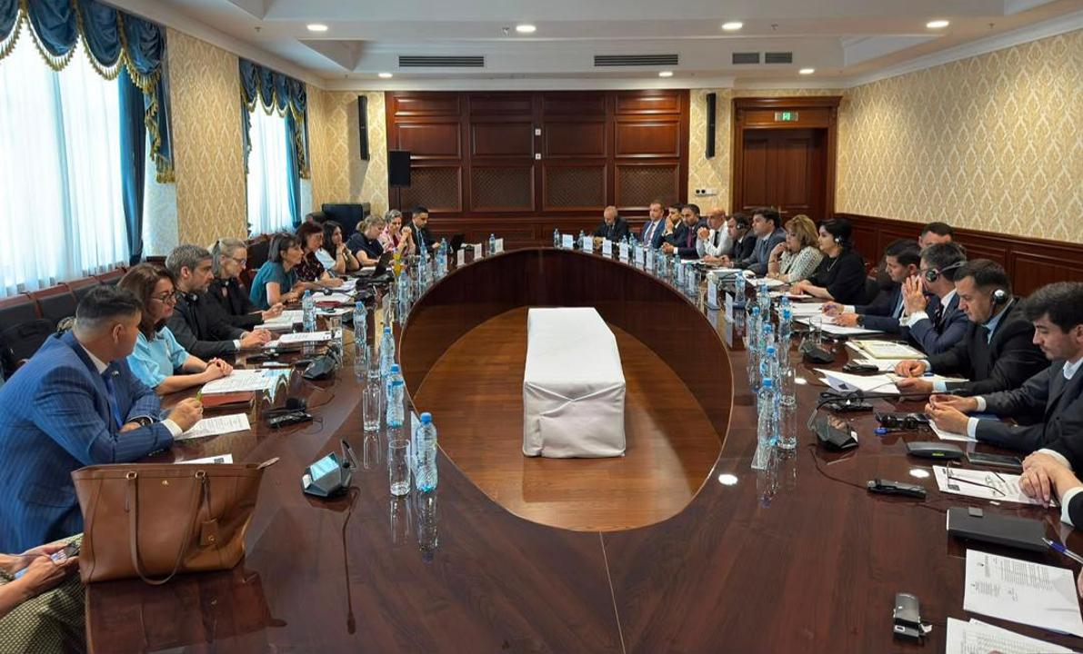 ناقشت طاجيكستان والاتحاد الأوروبي التعاون في مجال التنمية الاقتصادية.