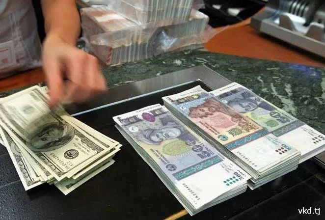 أعلنت وزارة الداخلية الطاجيكية عن حالتي احتيال تضمنت خسائر بلغت عشرات الآلاف من الدولارات والسوموني.