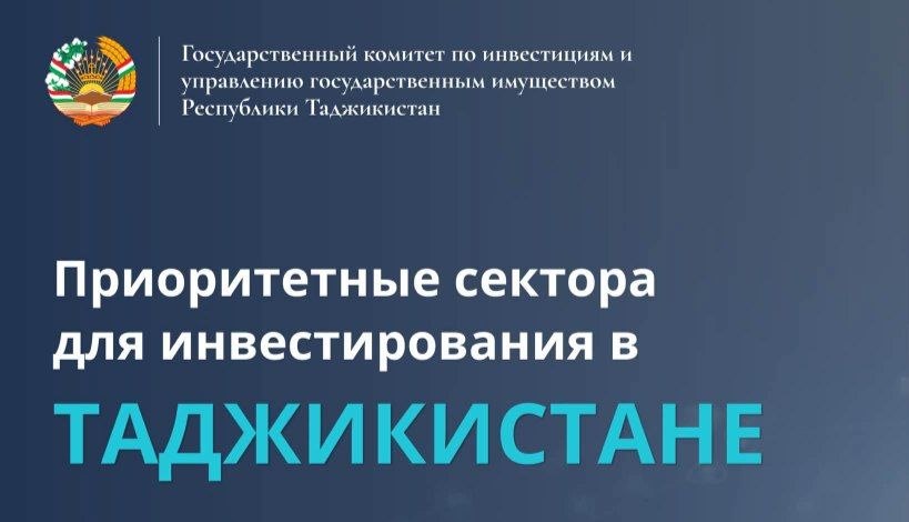 تفتح طاجيكستان اقتصادها الرقمي أمام المستثمرين الأجانب